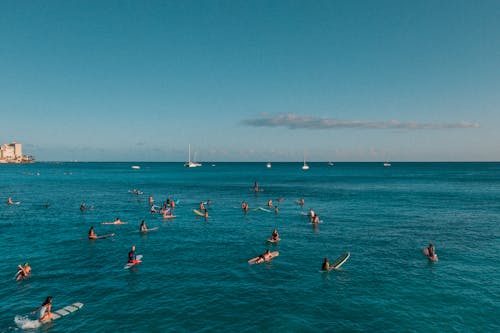 drome, 夏威夷, 天堂 的 免费素材图片