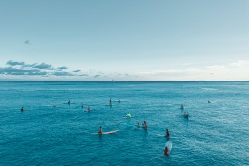 drome, 夏威夷, 天堂 的 免费素材图片