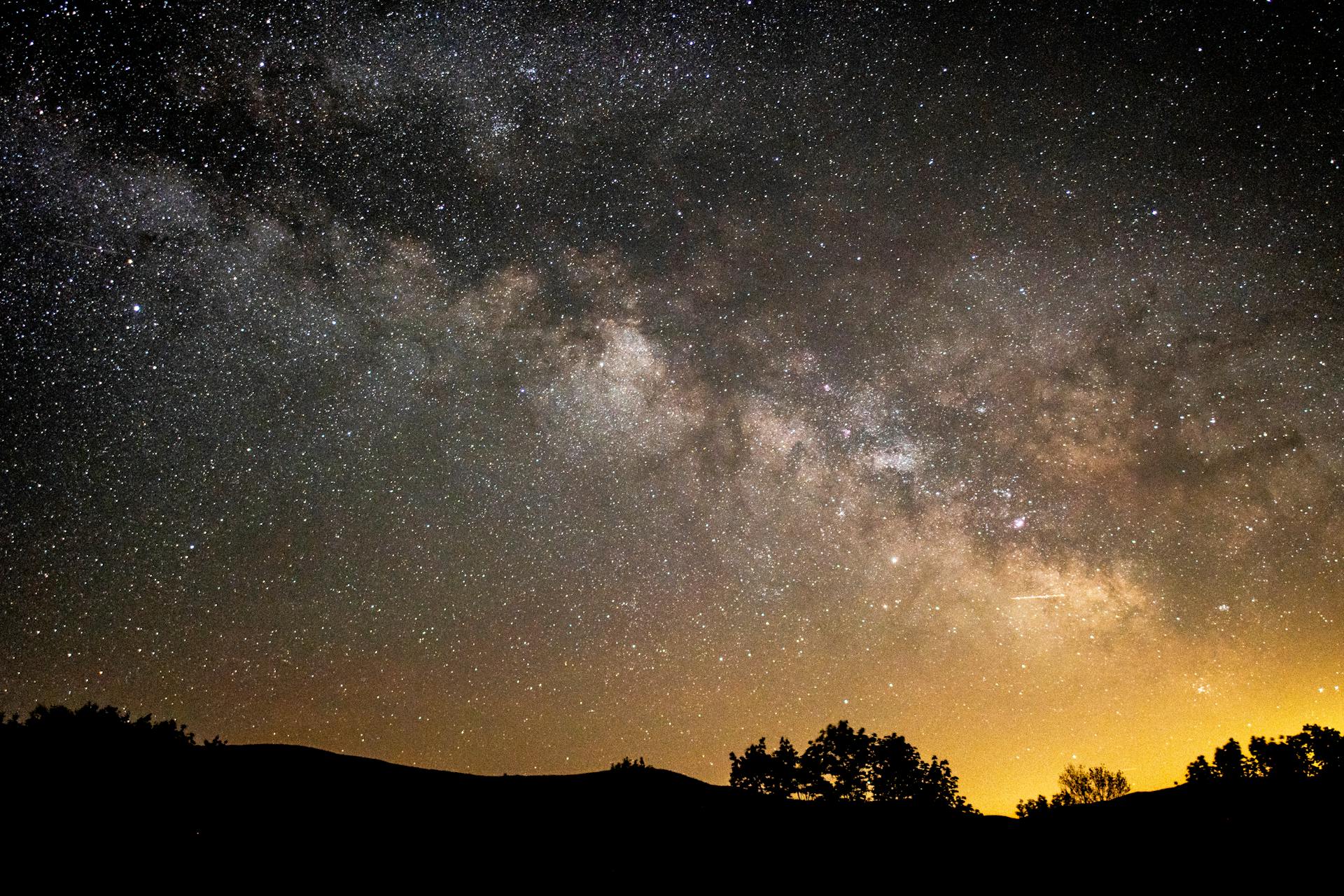 From below of bright shining starry constellation on dark night sky above silhouettes of trees