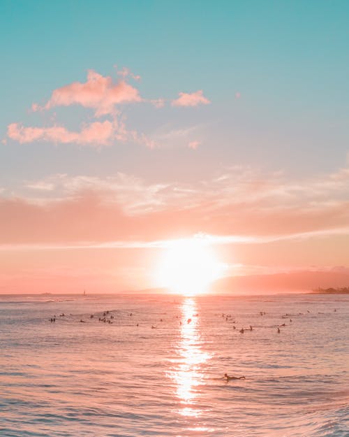 drome, 一縷陽光, 夏威夷 的 免费素材图片