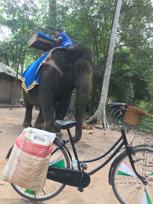 Foto stok gratis kendaraan klasik, moda transportasi