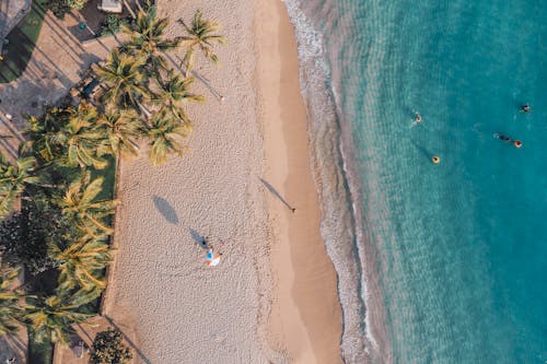 Free Aerial View of People on Beach Stock Photo