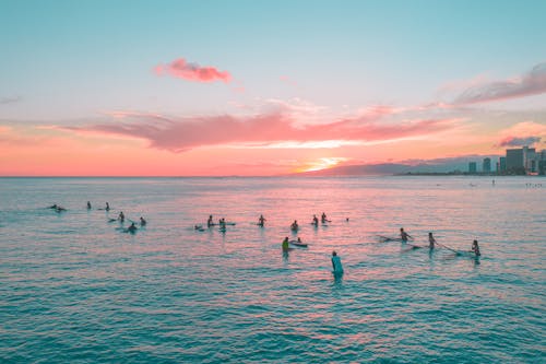 Free People on Beach during Sunset Stock Photo