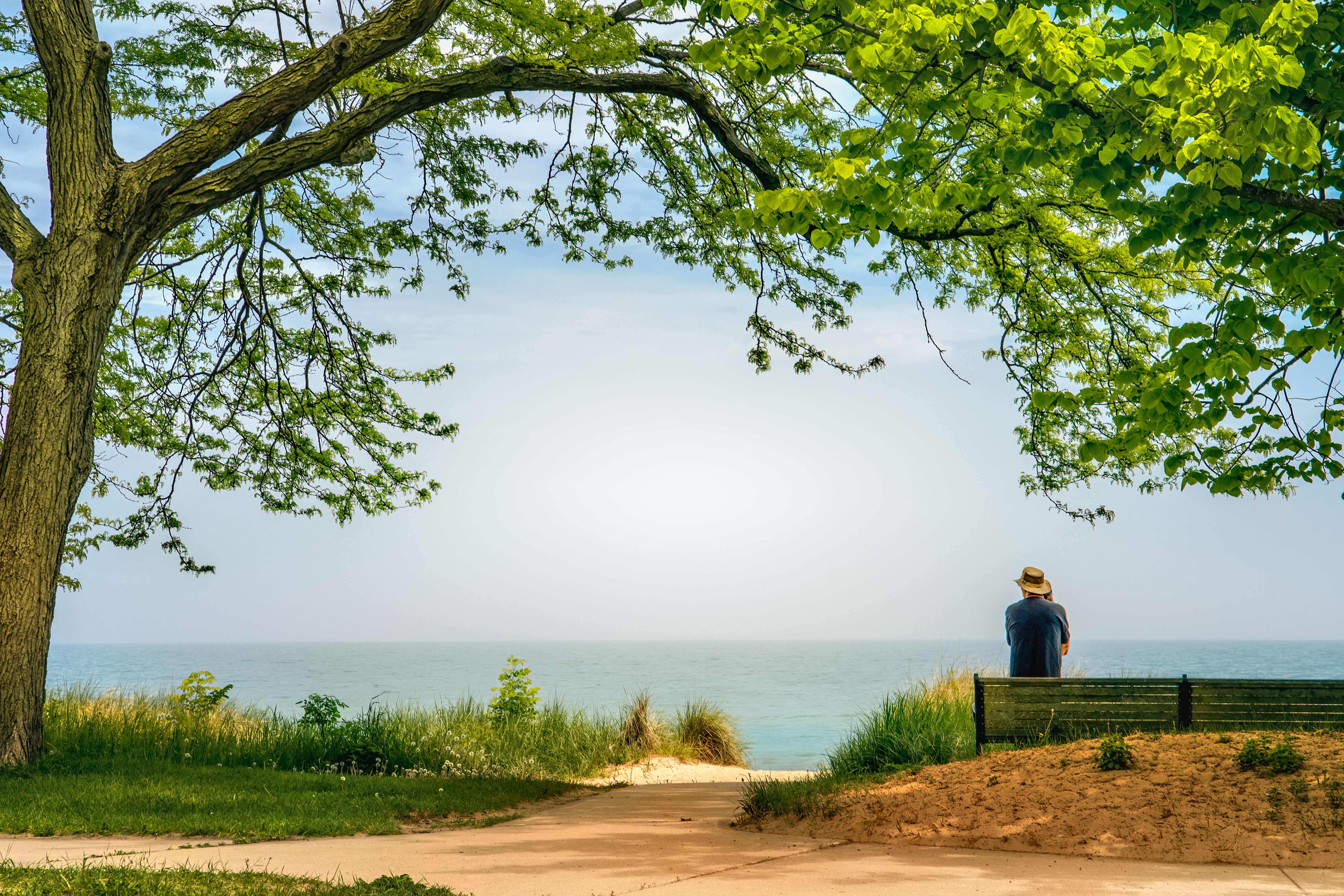 Fotomural Una escena serena con vista al mar, enmarcada por árboles frondosos y una figura solitaria relajándose en un banco.