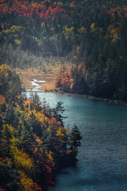가을, 강, 개울의 무료 스톡 사진