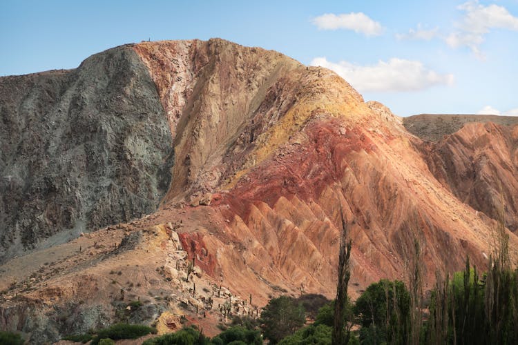 High Sandstone Formation With Green Plants