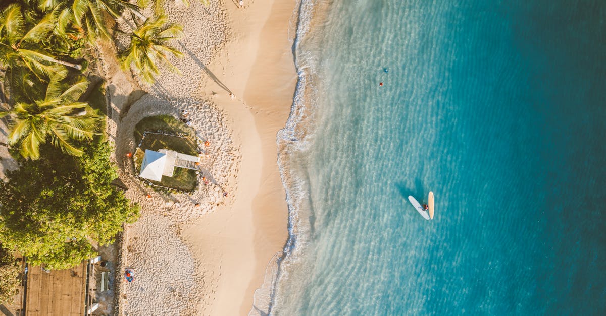 Stunning aerial view of a sandy beach in Hawaii with lush palm trees and a lone surfer in the ocean.