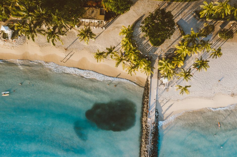 Photo by Jess Loiterton Breathtaking aerial view of a tropical Hawaiian beach with palm trees, sand, and turquoise ocean waves.