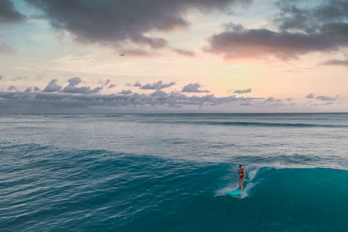 Woman in Blue Bikini Swimming on Sea