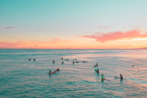 Free People in Sea during Sunset Stock Photo