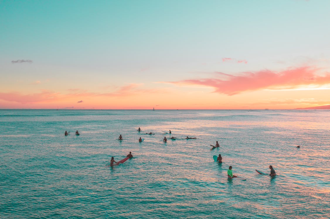 People in Sea during Sunset