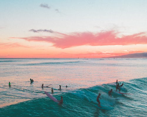 People Swimming on Sea during Sunset