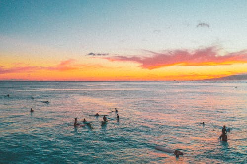 People Swimming on Sea during Sunset