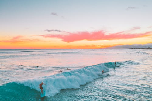 Free People Surfing on Sea Waves during Sunset Stock Photo