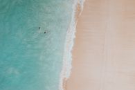 从空中俯瞰，夏威夷碧绿的海水中，两名游泳者正悠然游动，展现出海滩宁静的氛围