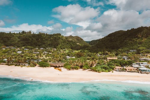 Fotobanka s bezplatnými fotkami na tému Havaj, honolulu, modrá