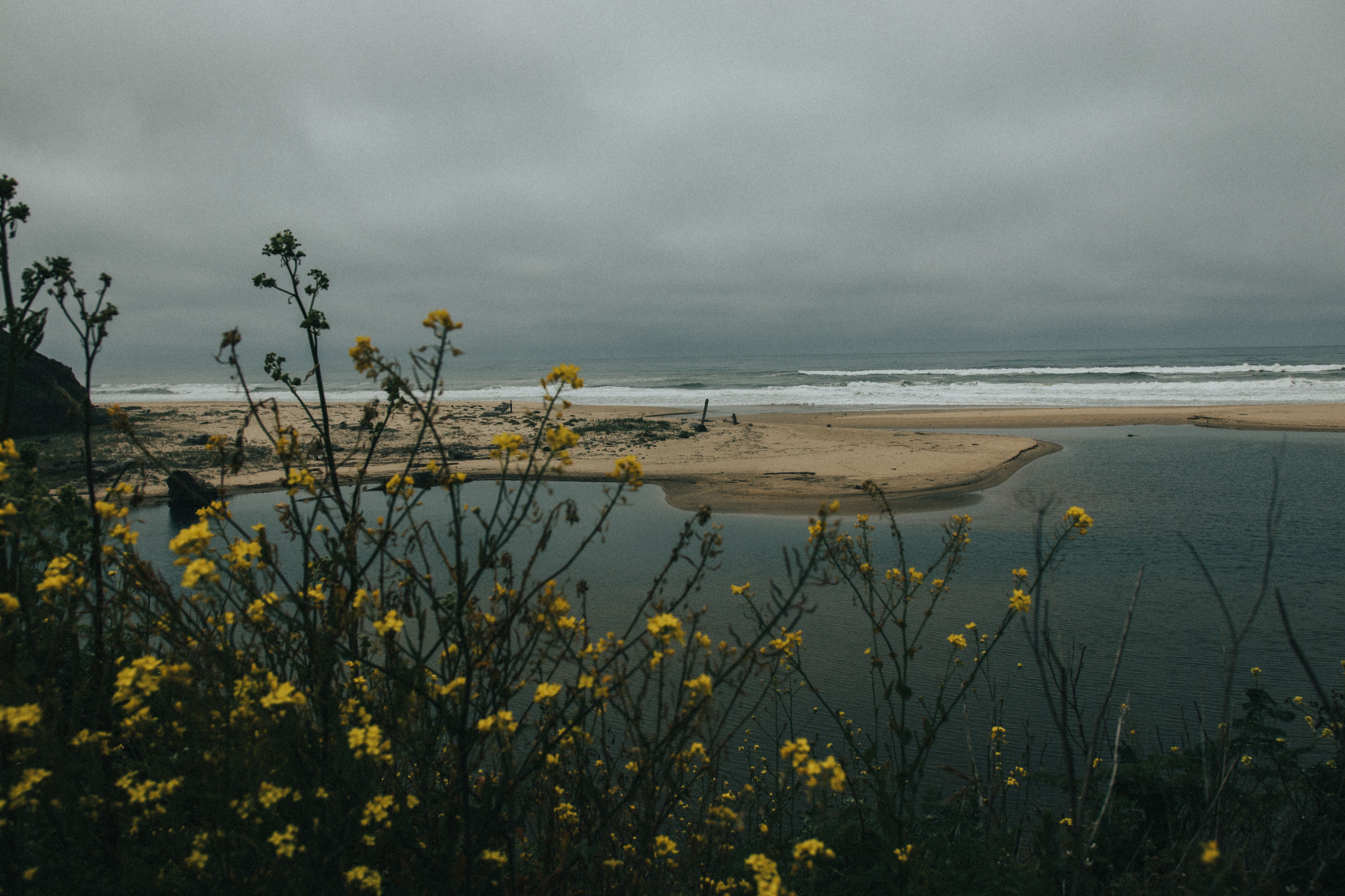 5 Day Sun, Surf, & Serenity - A Yoga and Surf Retreat in Ericeira 3