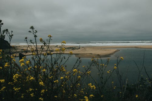Fotobanka s bezplatnými fotkami na tému divý, horizont, krajina pri mori