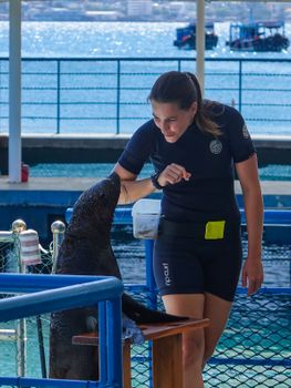 女驯马师在海边的户外海洋设施里与海狮互动