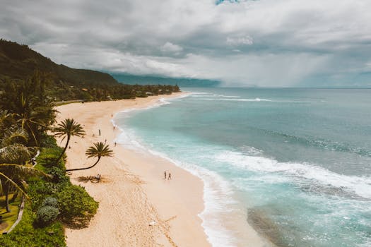 Stunning aerial shot of Pupukea Beach, Hawaii, showcasing palm trees and turquoise waters.