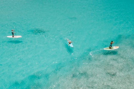Vibrant aerial shot of three paddle boarders enjoying a sunny day on clear blue waters.