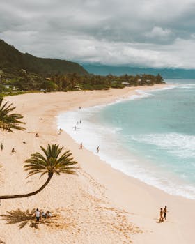 Breathtaking aerial shot of Pupukea Beach on a warm day, showcasing surfers and tropical scenery.