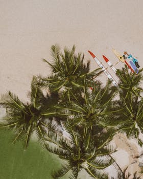 Drone shot of palm trees and canoes on a beach in Honolulu, Hawaii, with vibrant greenery and clear sea.