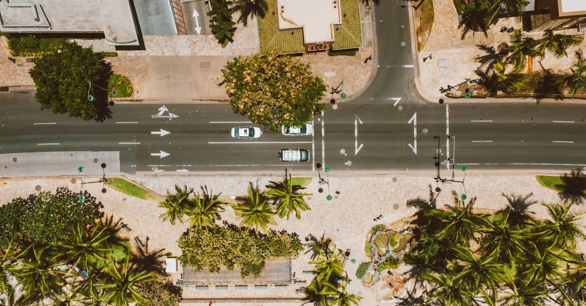 Photo by Jess Loiterton Aerial shot of a crossroad in Hawaii lined with palm trees, showcasing urban and coastal elements.