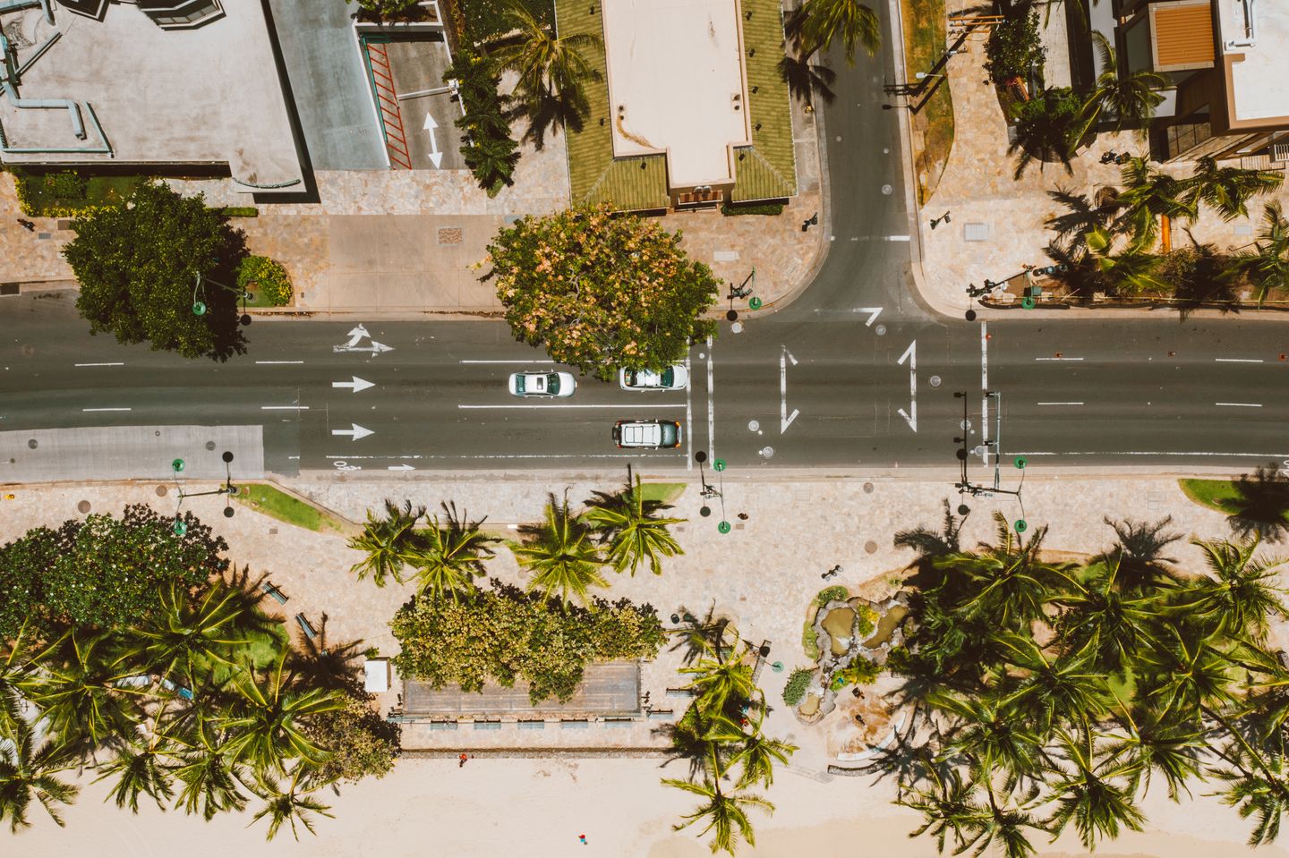 A palm-lined crossroad on a Hawaiian coast, seen from above