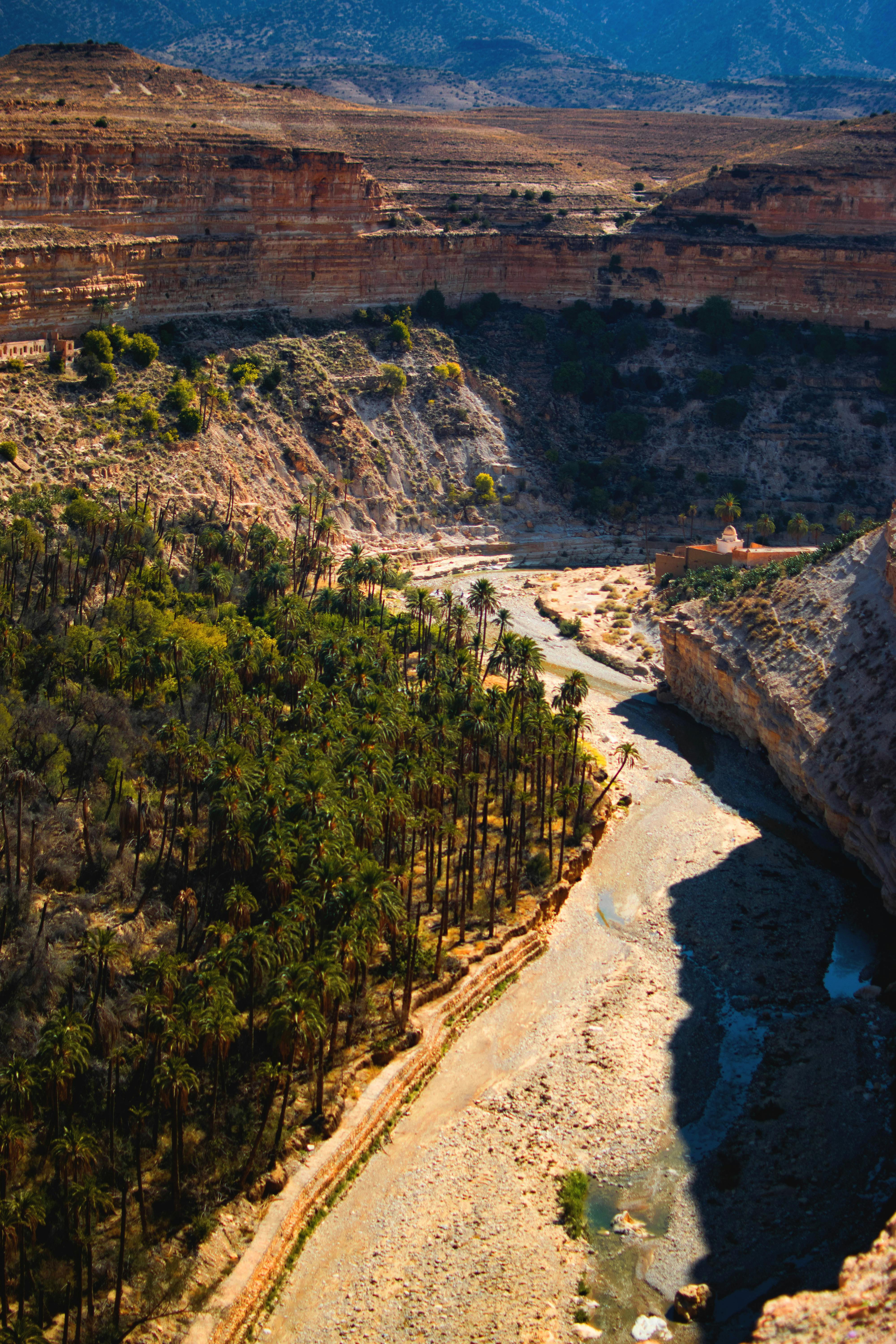 100+ besten Gratis Download Fotos · 100 % kostenloser Download · Pexels