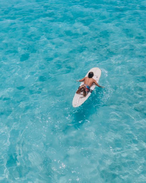 Free A surfer paddling in clear blue waters captured from above, exuding a sense of adventure. Stock Photo