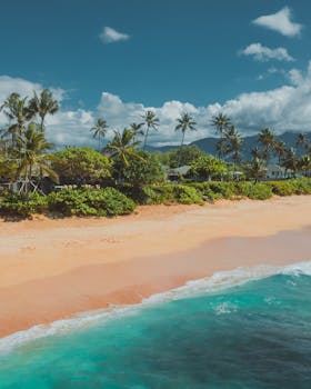 Scenic aerial photography of a Hawaiian beach with palm trees and turquoise ocean waters.