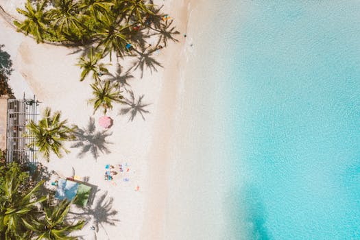 Aerial view of a tropical Hawaiian beach with palm trees and turquoise waters.