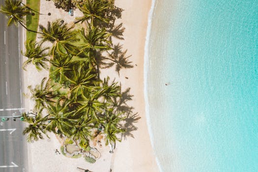 A breathtaking aerial view of a Honolulu beach with turquoise waters and lush palm trees.