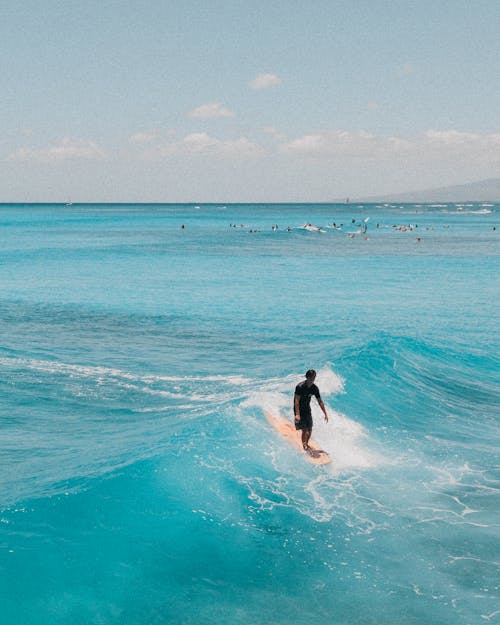 Woman in Black Bikini Surfing on Sea