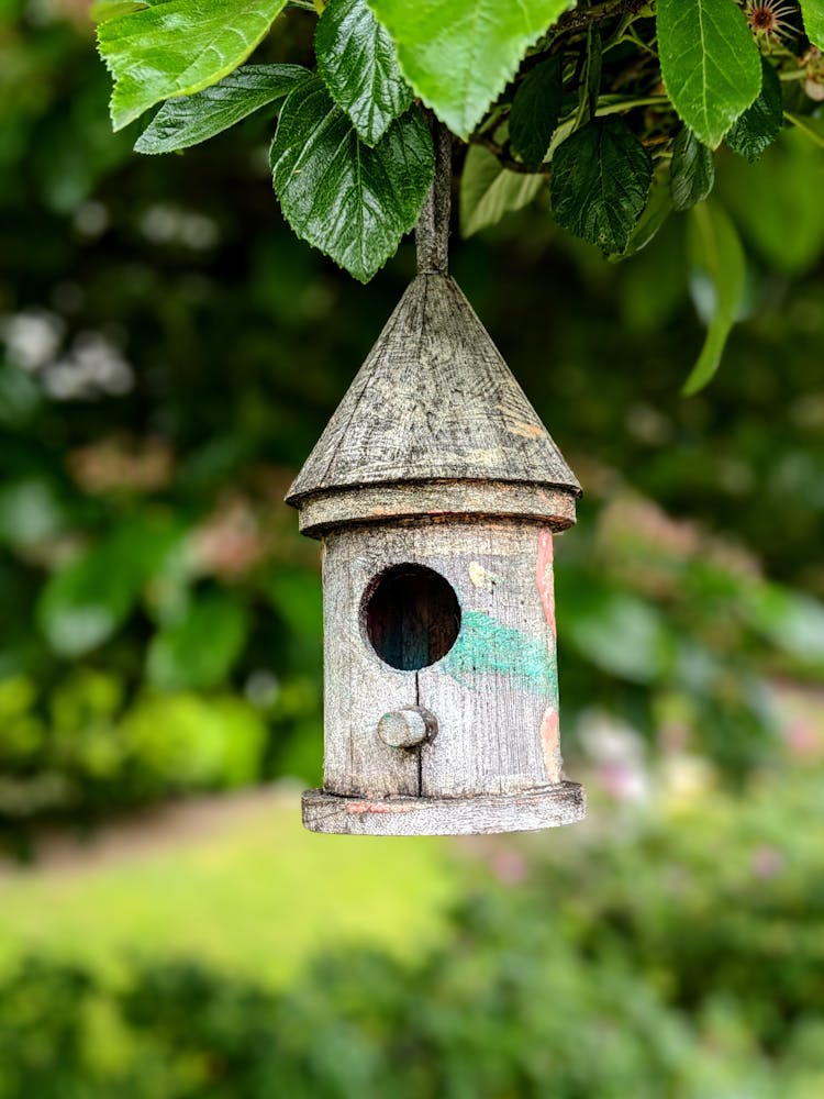 Old Wooden Bird Feeder Hanging On Tree