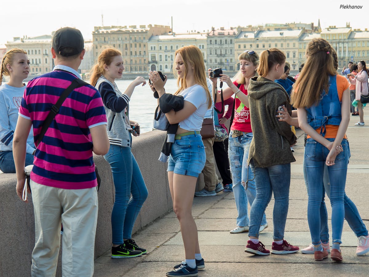 Peritonitis Infecciosa Felina (PIF): Síntomas, Diagnóstico y Tratamiento