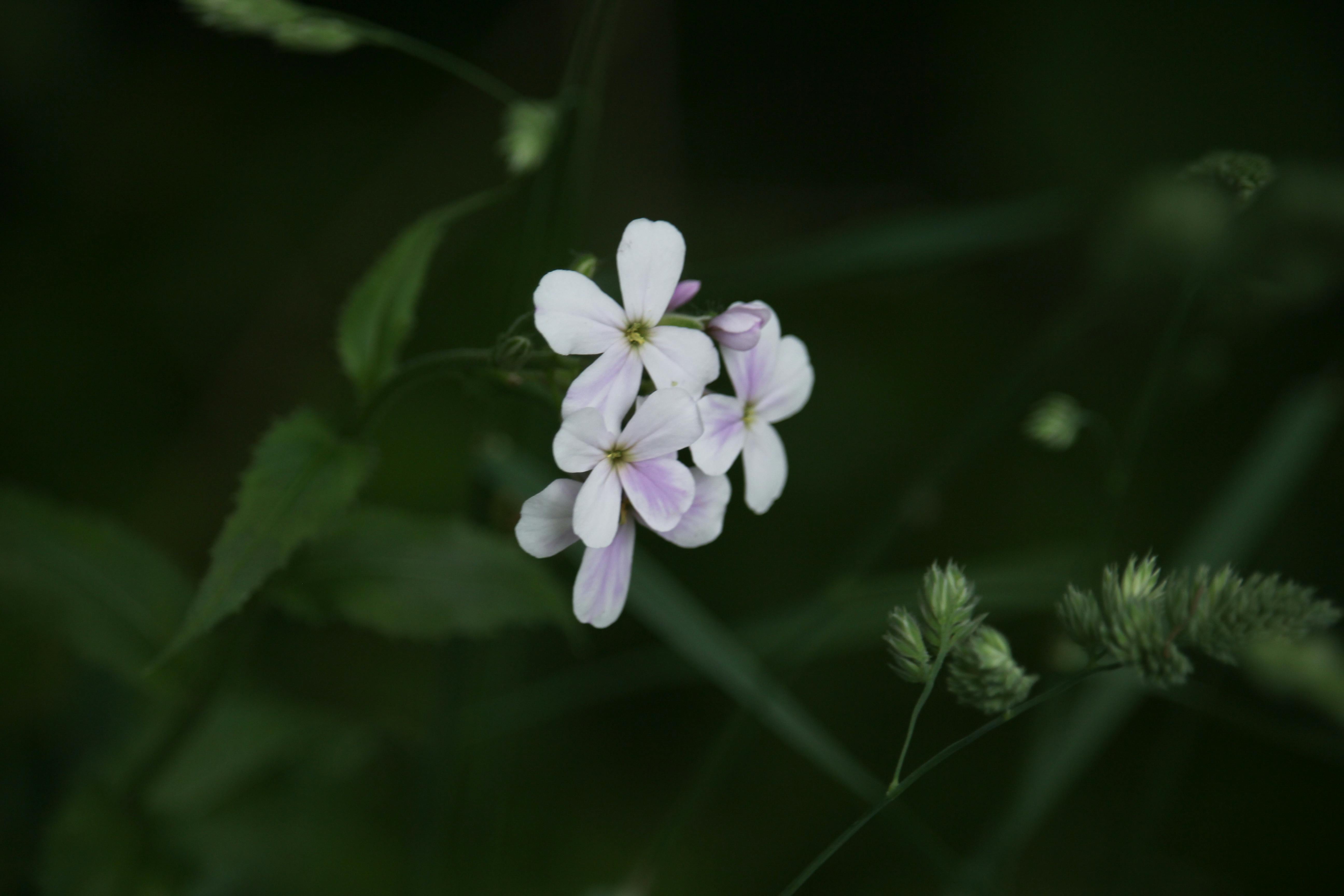 Scrap materials sorted and ready for recycling