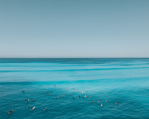 People Swimming on Sea