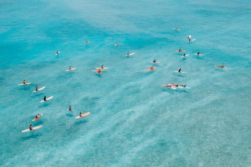 People Swimming on Sea