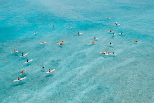 Elevated view of surfers paddling on vibrant blue waters in Hawaii, capturing the essence of island lifestyle.