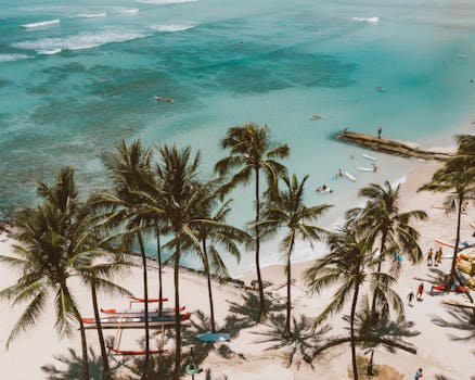 Aerial shot of surfers and palm trees on a sunny beach in Hawaii, showcasing turquoise waters.