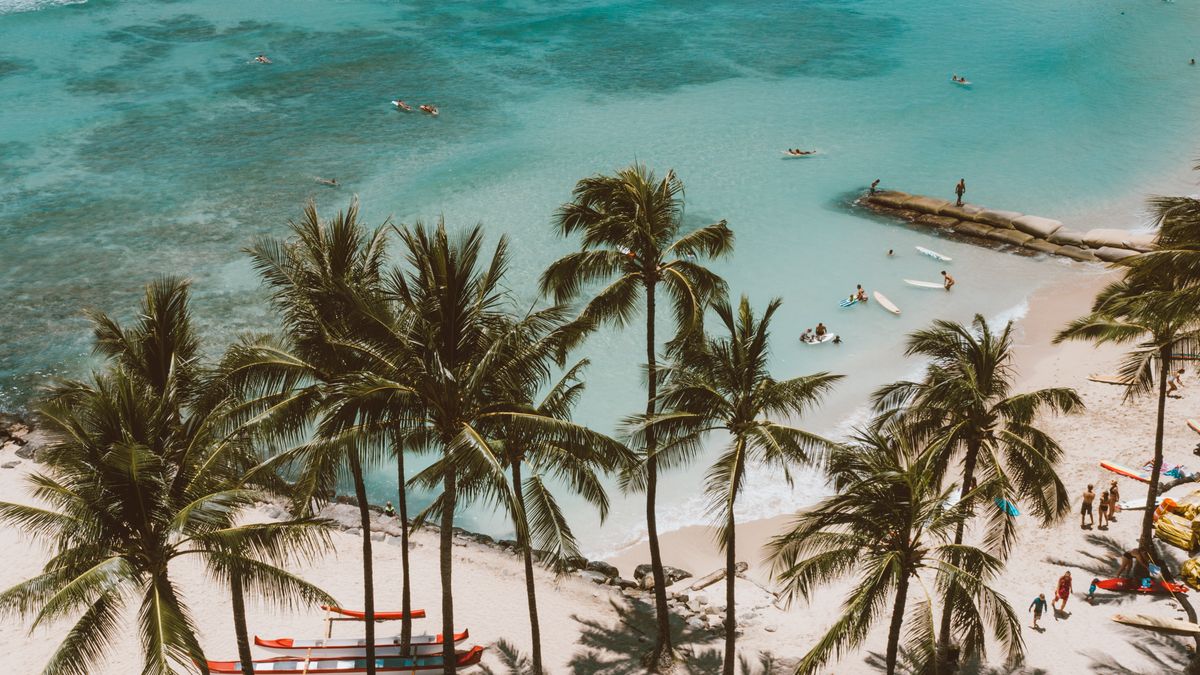 Top Honolulu, HI Grocery Giveaways With No Purchase Necessary: Safe Entry Guide