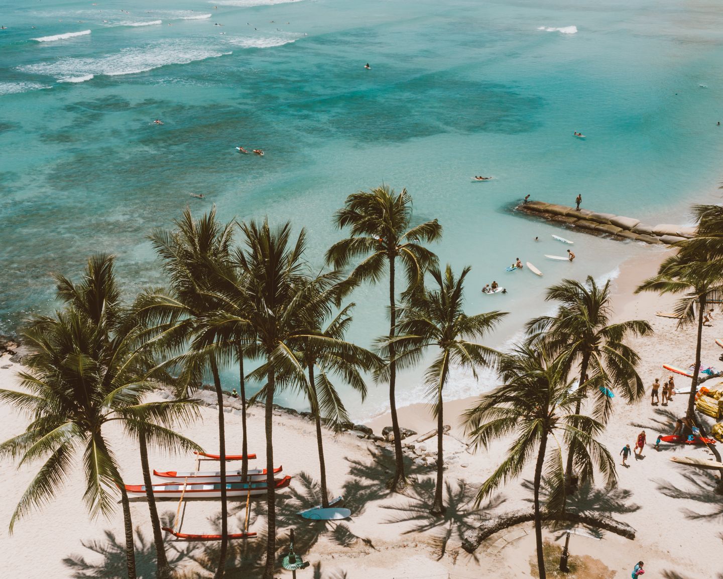 Palm trees leaning over a quiet Hawaiian beach and clear turquoise shallows