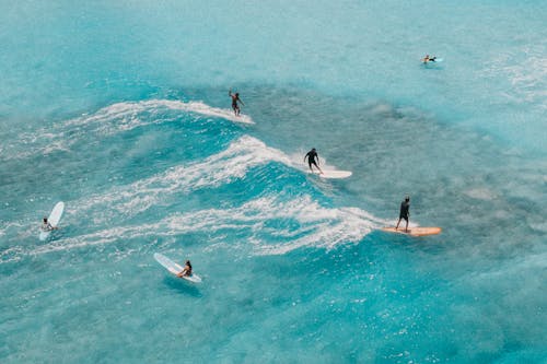 People Surfing on Sea Waves