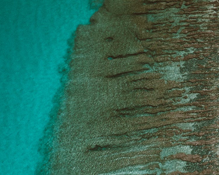 Brown Sand On Blue Water