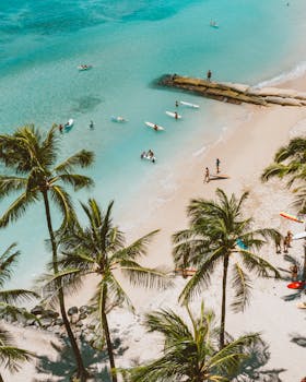 Drone shot of surfers enjoying a sunny day on a Hawaiian beach with palm trees and turquoise waters.
