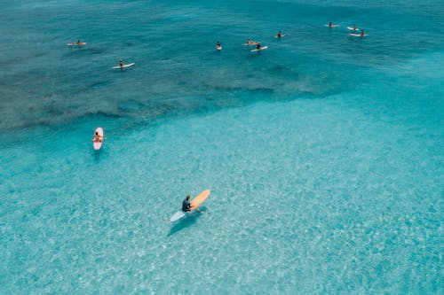 People Swimming on Sea