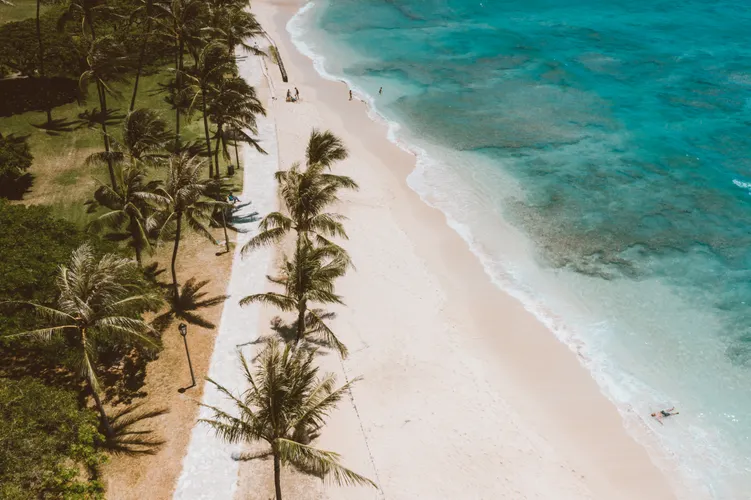 Aerial view of a tropical Oahu beach with turquoise water and palm trees