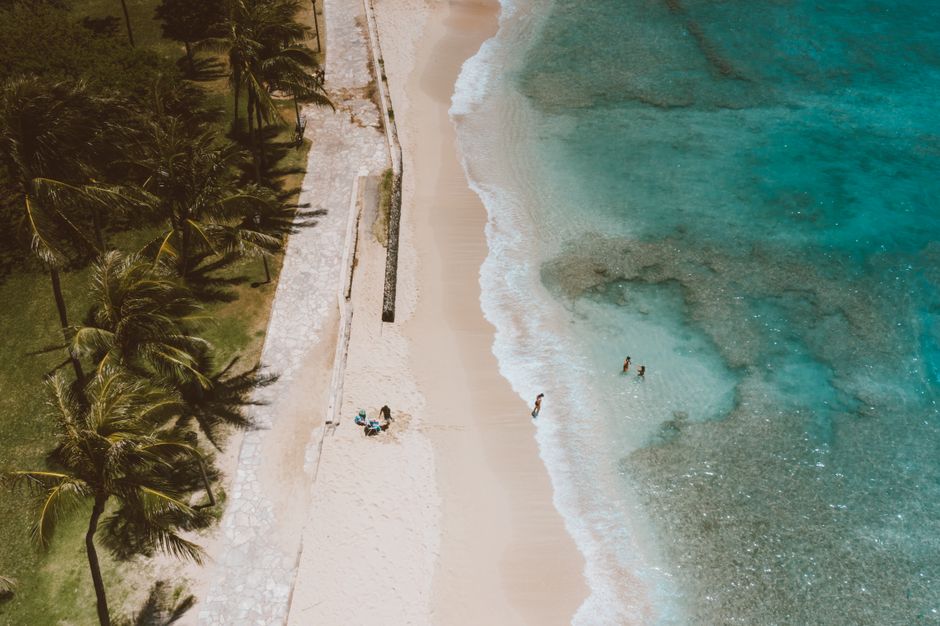 Ultimate Private 60 Minutes Helicopter Tour in Honolulu Review: The Ultimate Way to See All of Oahu Review 2026 - Stunning aerial view of a tropical beach in Hawaii featuring palm trees and clear ocean waters.